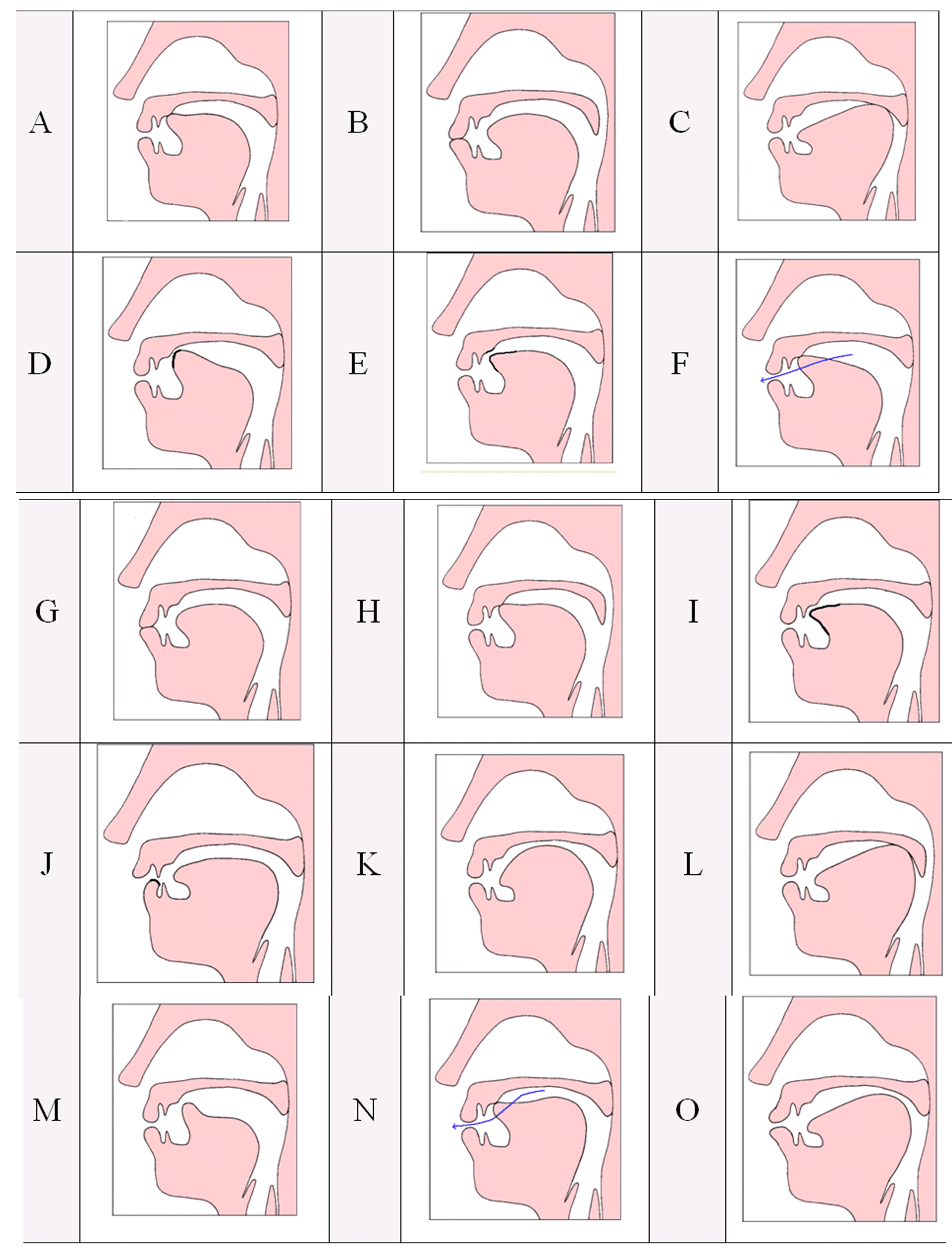 Tongue Analysis Chart
