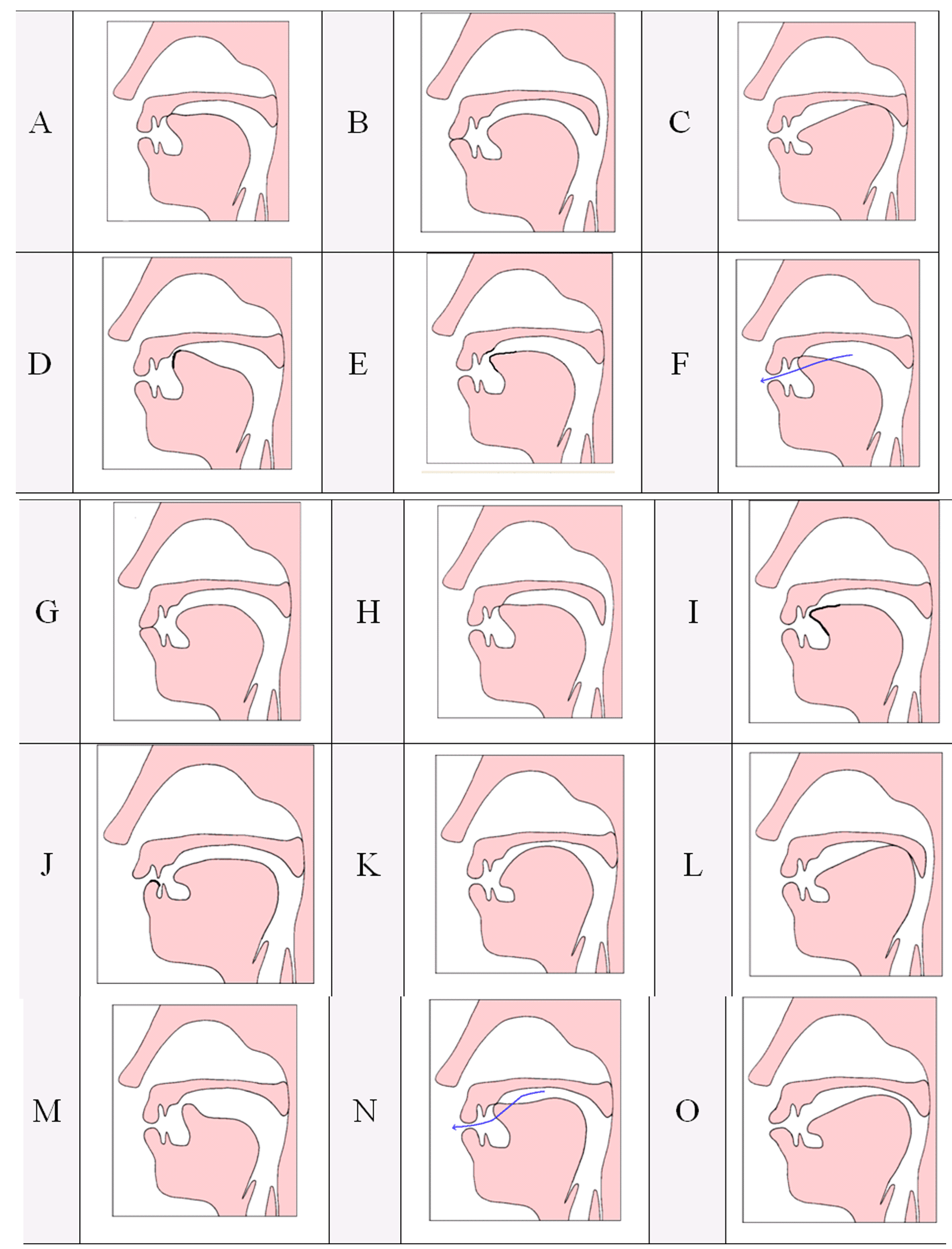 Place Manner Voice Chart