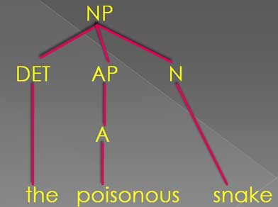 tree diagram