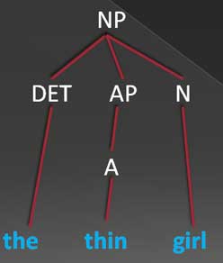 tree diagram