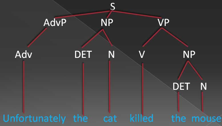 tree diagram